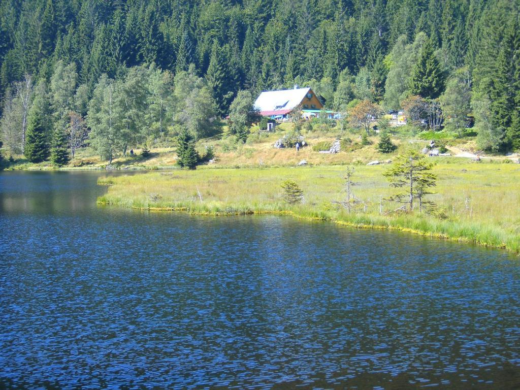 Pension Reindlhoeh Lohberg Exterior foto